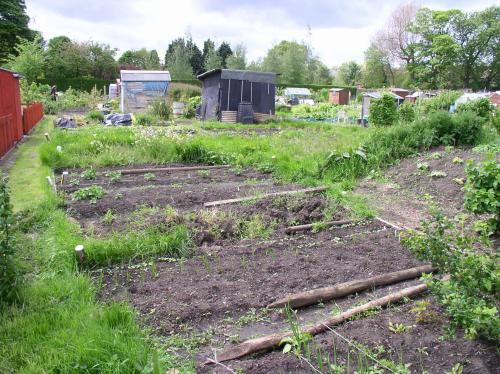 Allotment, end of May 2006